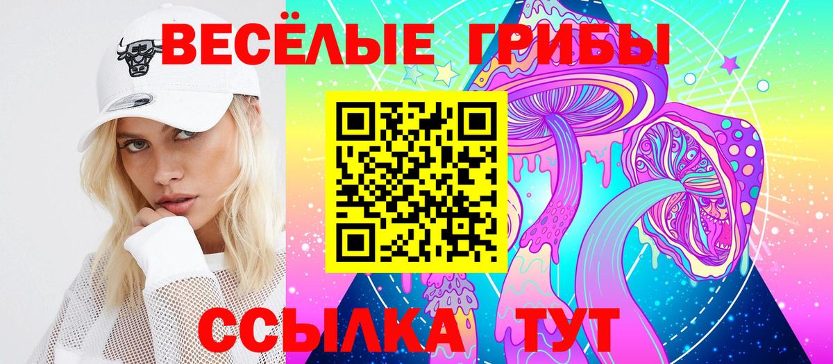 Псилоцибиновые грибы Cubensis  Вход с VPN  Красноярск 