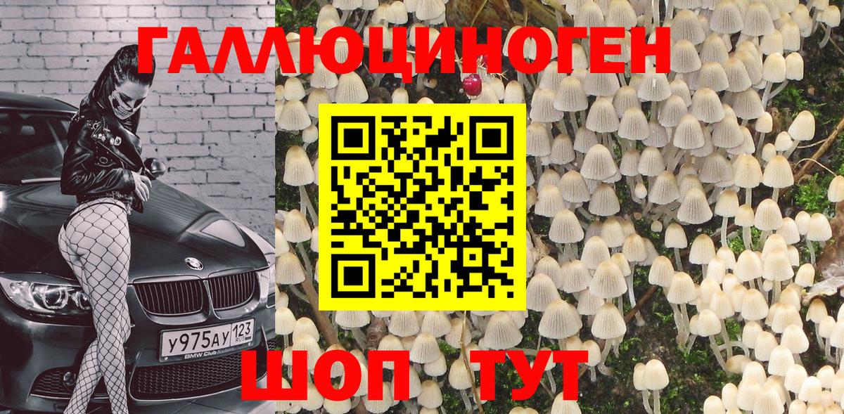 Псилоцибиновые грибы Cubensis Красноярск